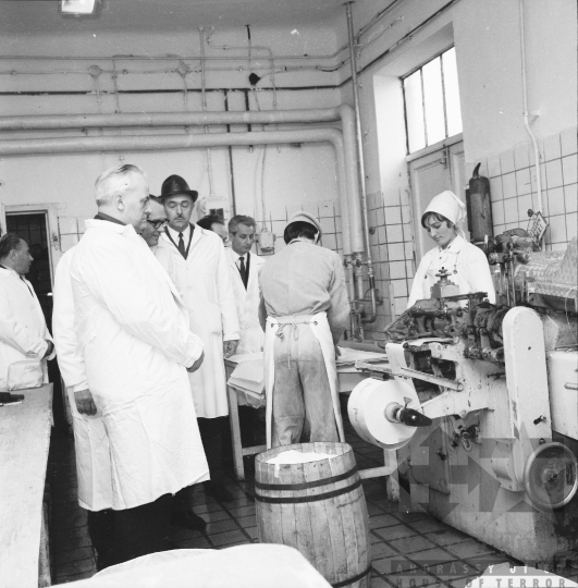 THM-BJ-00442 - Látogatás a szekszárdi tejüzemben az 1960-as években  