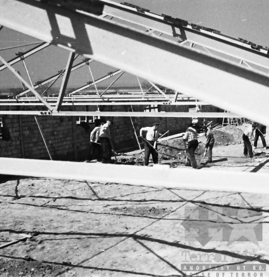 THM-BJ-01483 - Bátai baromfitelep építése az 1960-as években 