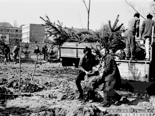 THM-BJ-01931 - Pártiskolába járó fiatalok fát ültetnek Bonyhádon az 1970-es években