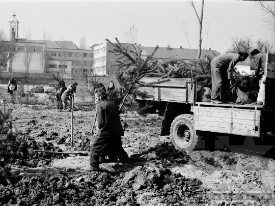 THM-BJ-01932 - Pártiskolába járó fiatalok fát ültetnek Bonyhádon az 1970-es években