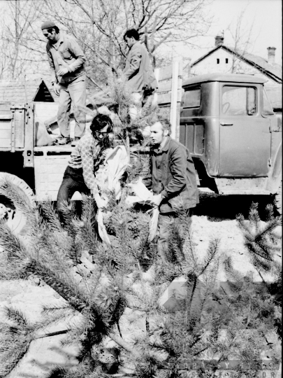 THM-BJ-01934 - Pártiskolába járó fiatalok fát ültetnek Bonyhádon az 1970-es években
