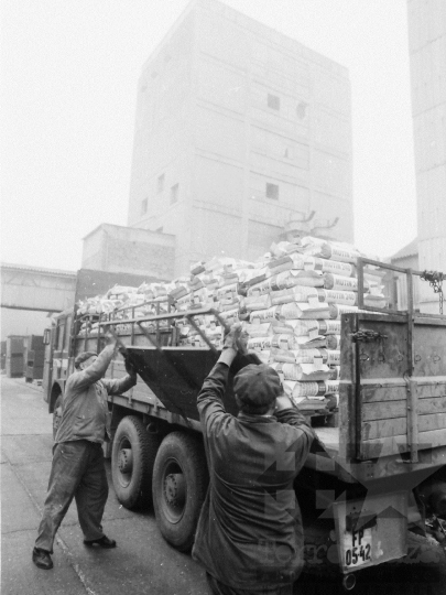 THM-BJ-02216 - Hibridkukorica-termelés a Dalmandi Állami Gazdaságban az 1980-as években 