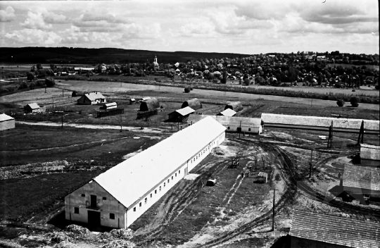 THM-BJ-02539 - Új telep épülete a nagykónyi termelőszövetkezetben az 1960-as években 