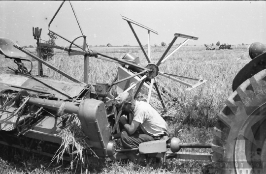 THM-BJ-02571 - Munka a dunaszentgyörgyi termelőszövetkezetben az 1960-as években 