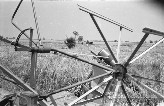 THM-BJ-02572 - Munka a dunaszentgyörgyi termelőszövetkezetben az 1960-as években 