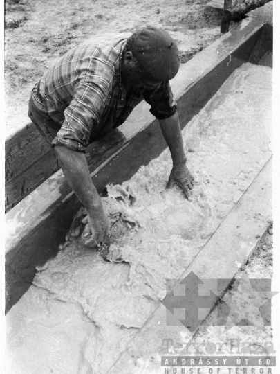 THM-BJ-03924 - Élősködők elleni egészségügyi akció, birkafürdetés a mőcsényi termelőszövetkezetben az 1980-as években