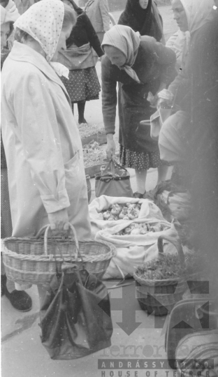 THM-BJ-05816 - Piac a szekszárdi Béla király téren az 1960-as években