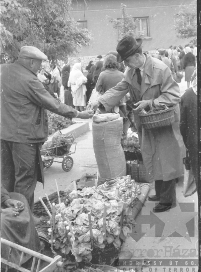 THM-BJ-05817 - Piac a szekszárdi Béla király téren az 1960-as években