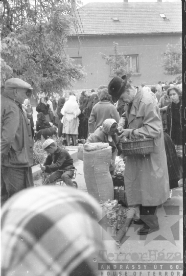 THM-BJ-05818 - Piac a szekszárdi Béla király téren az 1960-as években
