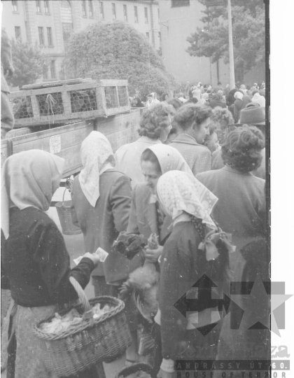 THM-BJ-05820 - Piac a szekszárdi Béla király téren az 1960-as években
