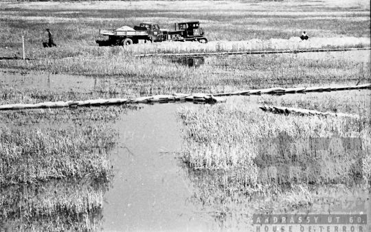 THM-BJ-05984 - Nyári árvíz a szekszárdi Duna-parton az 1960-as években 