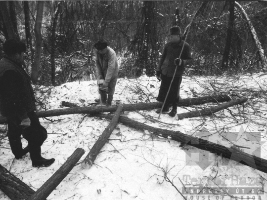 THM-BJ-06340 - Téli erdőirtás Sióagárdon az 1980-as években