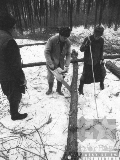 THM-BJ-06341 - Téli erdőirtás Sióagárdon az 1980-as években