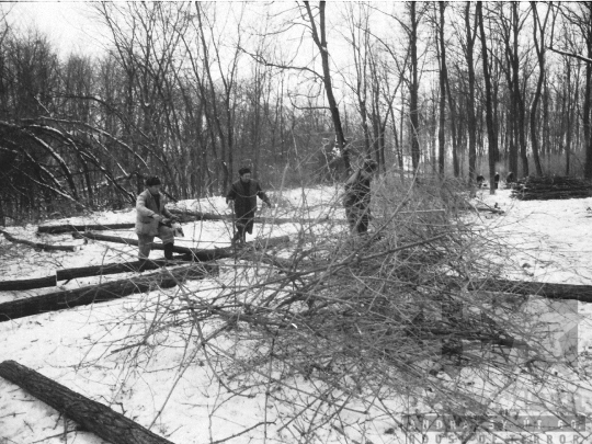 THM-BJ-06343 - Téli erdőirtás Sióagárdon az 1980-as években