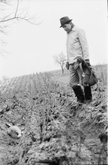 THM-BJ-07513 - Szekszárdi újságírók vadászaton Paks mellett az 1960-as években