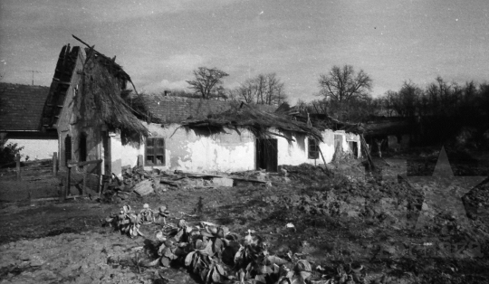 THM-BJ-09440 - Kisszékelyi falukép az 1980-as években