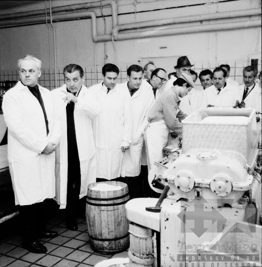 THM-BJ-00441 - Látogatás a szekszárdi tejüzemben az 1960-as években 