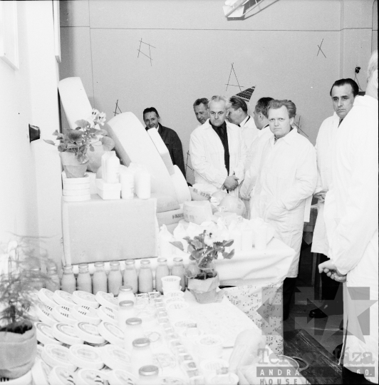 THM-BJ-00443 - Látogatás a szekszárdi tejüzemben az 1960-as években  