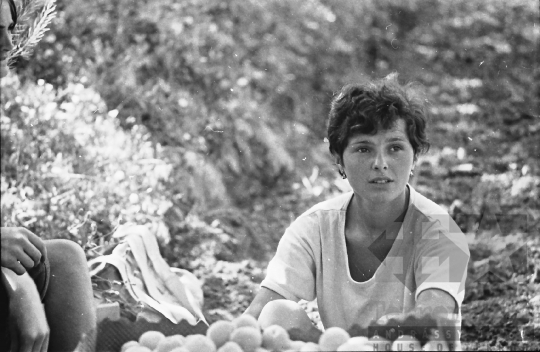 THM-BJ-00531 - Kommunista Ifjúsági Szövetség gyapai építőtábora az 1960-as években 