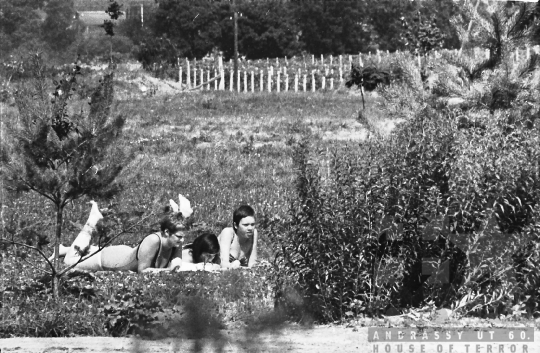 THM-BJ-00533 - Kommunista Ifjúsági Szövetség gyapai építőtábora az 1960-as években