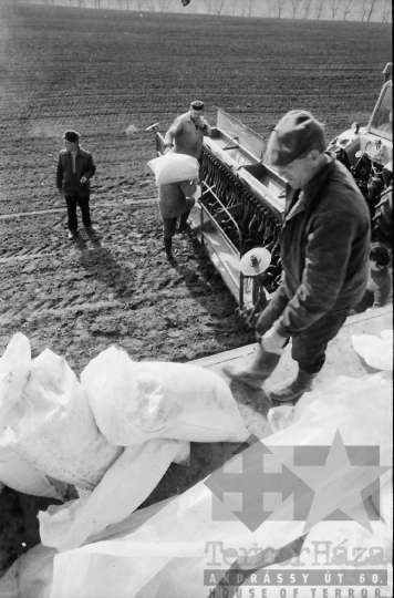 THM-BJ-00872 - Munka a felsőnánai termelőszövetkezet földjén az 1980-as években 