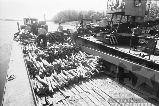 THM-BJ-00896 - Rakodómunkások a bogyiszlói Duna-parton az 1980-as években