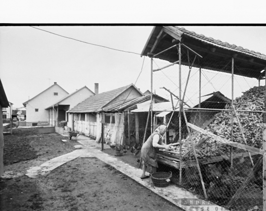THM-BJ-00909a - Sertéstenyésztés egy tolna megyei háztáji gazdaságban az 1980-as években 