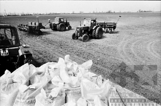 THM-BJ-00922 - Bonyhádi termelőszövetkezet kukoricaföldje az 1980-as években 