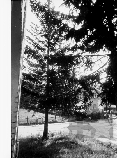 THM-BJ-00937 - Murgai utcakép az 1980-as években