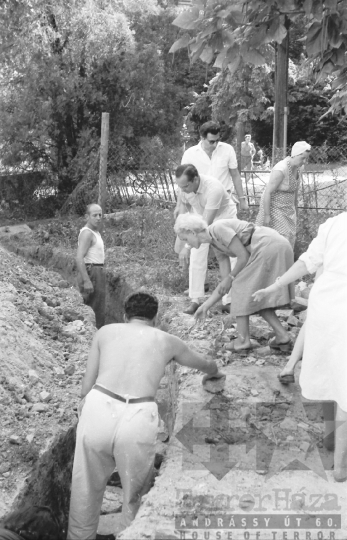 THM-BJ-01113 - Társadalmi munka a szekszárdi kórház parkjában az 1960-as években 