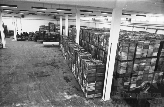 THM-BJ-01155 - Mözsi termelőszövetkezet hűtőháza az 1970-es években