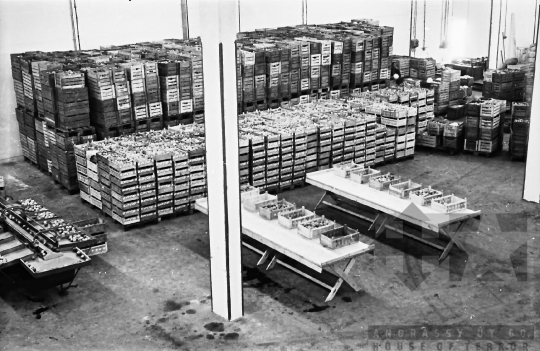 THM-BJ-01157 - Mözsi termelőszövetkezet hűtőháza az 1970-es években