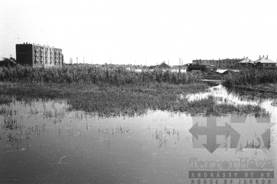 THM-BJ-01392 - Zunger városrész Szekszárdon az 1960-as években