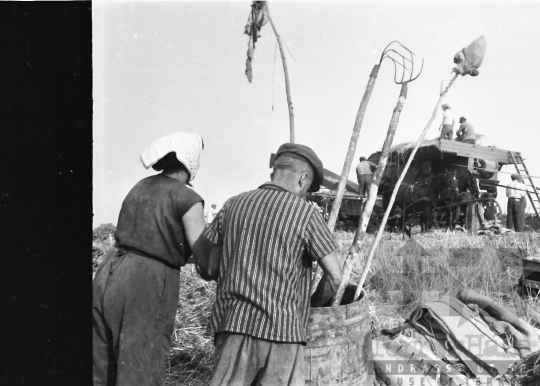 THM-BJ-01393 - Aratás a kétyi termelőszövetkezetben az 1960-as években