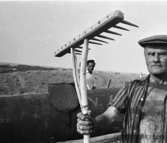 THM-BJ-01394a - Aratás a kétyi termelőszövetkezetben az 1960-as években