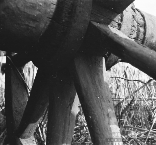 THM-BJ-01399 - Aratás a kétyi termelőszövetkezetben az 1960-as években