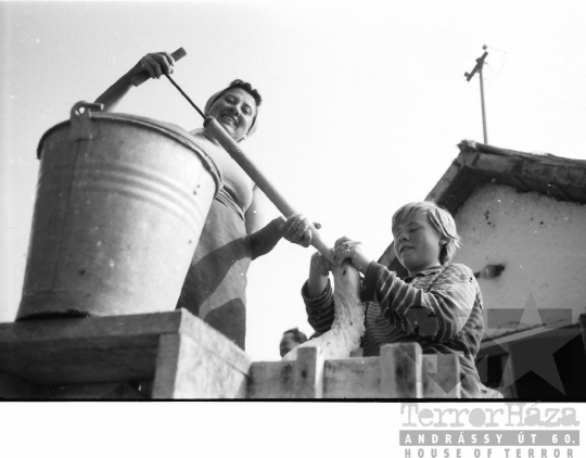 THM-BJ-01486a - Munka a bátai termelőszövetkezetben az 1960-as években