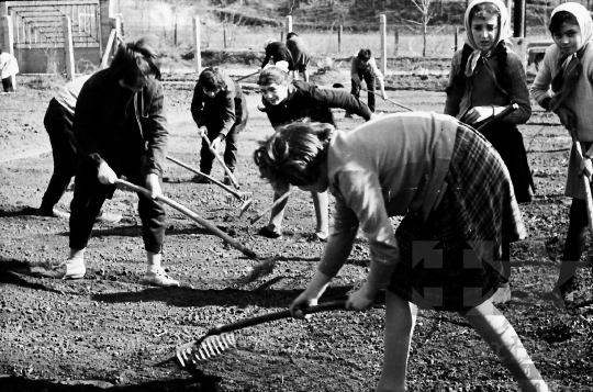 THM-BJ-01510 - Iskolaudvar gereblyézése Tengelicen az 1960-as években