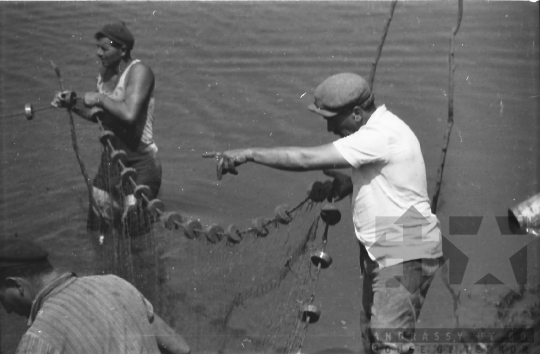 THM-BJ-01529 - Lehalászás a Fornádi Állami Gazdaságban 1960-as években