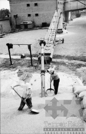 THM-BJ-01650 - Tolna megyei Gabonaforgalmi Vállalat dombóvári telephelye az 1960-as években 
