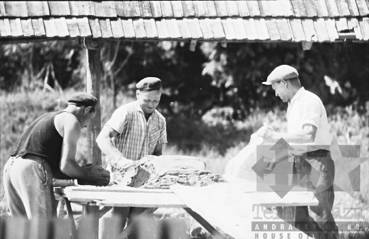 THM-BJ-01696 - Nagyszokolyi Béke termelőszövetkezet vályogvető üzeme az 1960-as években 