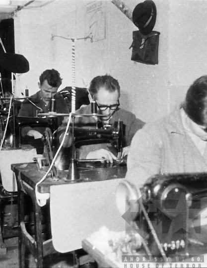 THM-BJ-01699 - Simontornyai Bőrgyár szőrmeüzeme az 1960-as években 