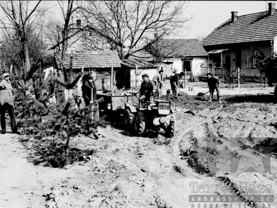 THM-BJ-01935 - Pártiskolába járó fiatalok fát ültetnek Bonyhádon az 1970-es években