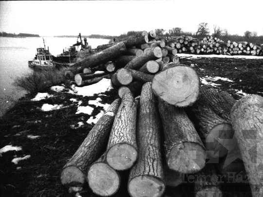 THM-BJ-02132 - Fafeldolgozás Bogyiszlónál a Duna-parton 1980-as években