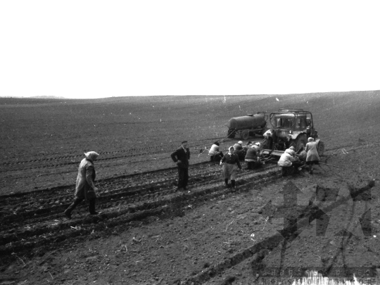 THM-BJ-02145 - Munka a szekszárdi termelőszövetkezet földjein az 1980-as években 