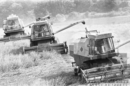 THM-BJ-02197 - Aratás a mórágyi Völgység Népe termelőszövetkezetben az 1980-as években 