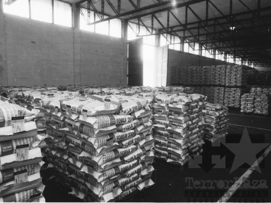 THM-BJ-02205 - Hibridkukorica-termelés a Dalmandi Állami Gazdaságban az 1980-as években 