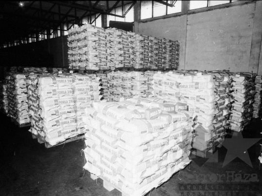 THM-BJ-02206 - Hibridkukorica-termelés a Dalmandi Állami Gazdaságban az 1980-as években 