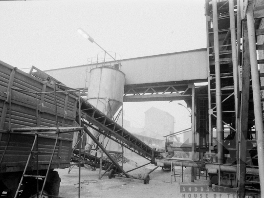 THM-BJ-02208 - Hibridkukorica-termelés a Dalmandi Állami Gazdaságban az 1980-as években 