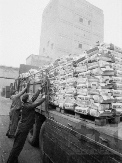 THM-BJ-02217 - Hibridkukorica-termelés a Dalmandi Állami Gazdaságban az 1980-as években 